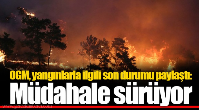OGM, yangınlarla ilgili son durumu paylaştı: Müdahale sürüyor