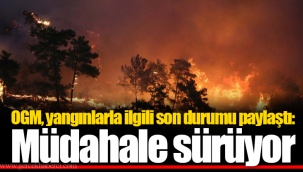 OGM, yangınlarla ilgili son durumu paylaştı: Müdahale sürüyor