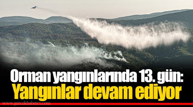 Orman yangınlarında 13. gün:Yangınlar devam ediyor