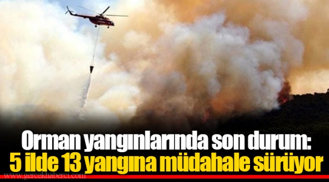 Orman yangınlarında son durum: 5 ilde 13 yangına müdahale sürüyor