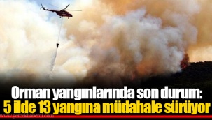 Orman yangınlarında son durum: 5 ilde 13 yangına müdahale sürüyor