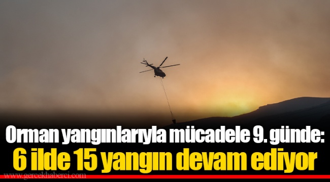 Orman yangınlarıyla mücadele 9. günde: 6 ilde 15 yangın devam ediyor