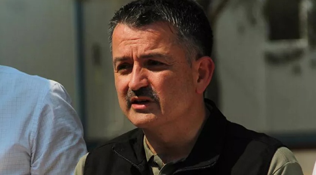 Tarım Bakanı Pakdemirli: 38 ilde 163 yangın çıktı, 152 tanesi söndürüldü