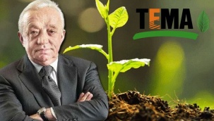 TEMA, fidan bağışını geri çevirmişti: Cengiz Holding'den açıklama