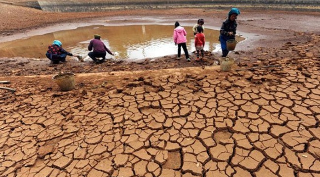 TZOB Başkanı: Kuraklıktan zarar gören il sayısı 52'ye yükseldi