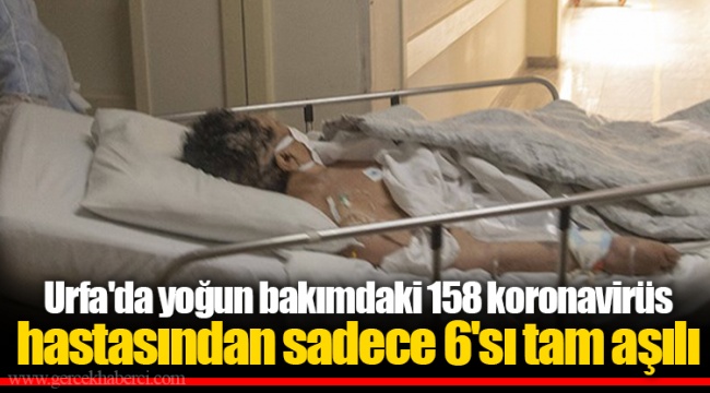 Urfa'da yoğun bakımdaki 158 koronavirüs hastasından sadece 6'sı tam aşılı