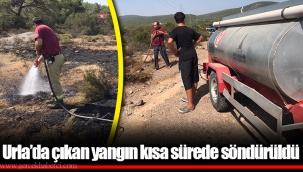 Urla'da çıkan yangın kısa sürede söndürüldü