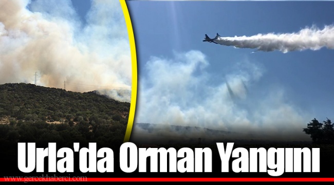 Urla'da Orman Yangını