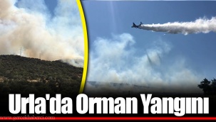 Urla'da Orman Yangını