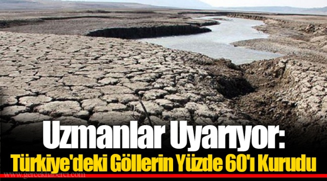 Uzmanlar Uyarıyor: Türkiye'deki Göllerin Yüzde 60'ı Kurudu
