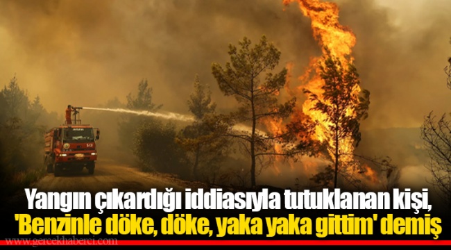 Yangın çıkardığı iddiasıyla tutuklanan kişi, 'Benzinle döke, döke, yaka yaka gittim' demiş