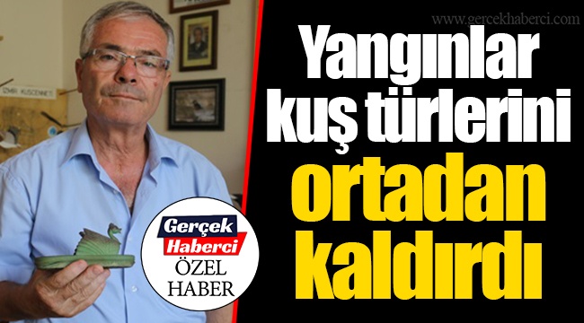 Yangınlar kuş türlerini ortadan kaldırdı