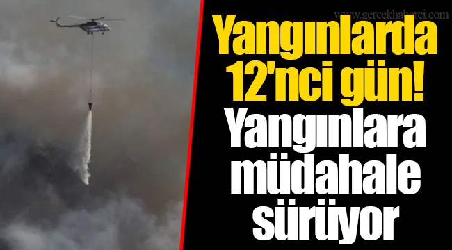 Yangınlarda 12'nci gün! Yangınlara müdahale sürüyor