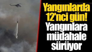 Yangınlarda 12'nci gün! Yangınlara müdahale sürüyor