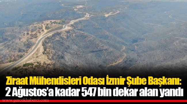 Ziraat Mühendisleri Odası İzmir Şube Başkanı: 2 Ağustos’a kadar 547 bin dekar alan yandı