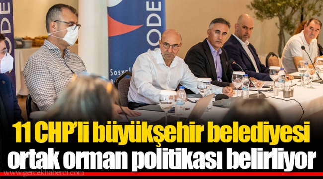 11 CHP’li büyükşehir belediyesi ortak orman politikası belirliyor