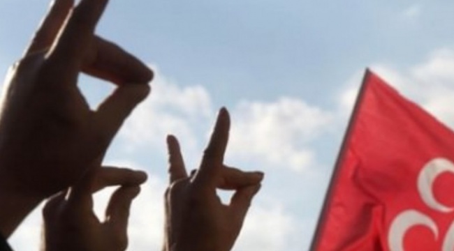 Almanya'da 'Ülkücü Hareket' raporu: Anayasa'ya aykırı