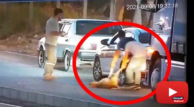 Aracıyla çarptığı köpeği ölüme böyle terk etti
