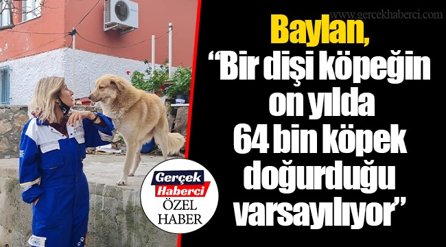 Baylan, “Bir dişi köpeğin on yılda 64 bin köpek doğurduğu varsayılıyor”