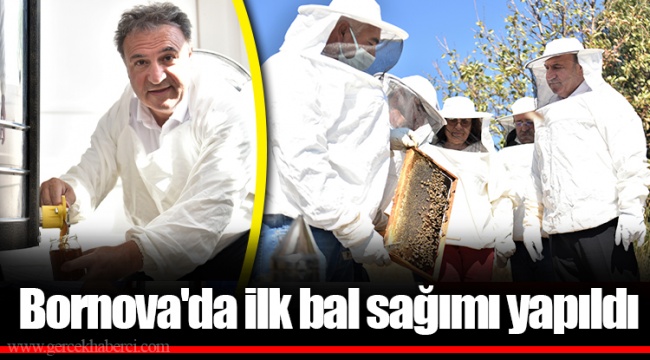 Bornova'da ilk bal sağımı yapıldı