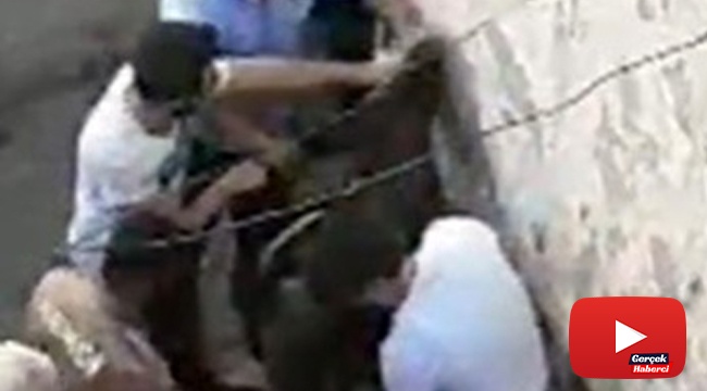 Çarşaflı erkek hırsız damda uyuyakalınca yakayı ele verdi