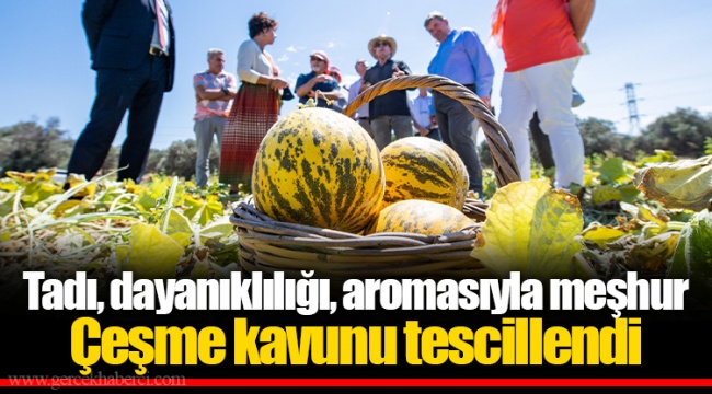 Çeşme kavunu tescillendi