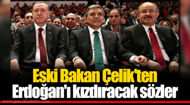 Eski Bakan Çelik'ten Erdoğan'ı kızdıracak sözler