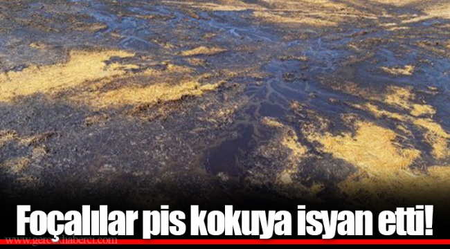 Foçalılar pis kokuya isyan etti!