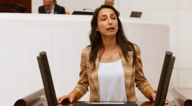 HDP’li Tülay Hatimoğulları’na saldırı girişimi