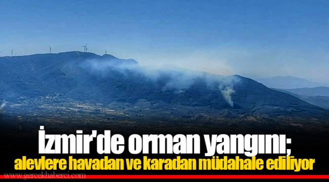 İzmir'de orman yangını; alevlere havadan ve karadan müdahale ediliyor