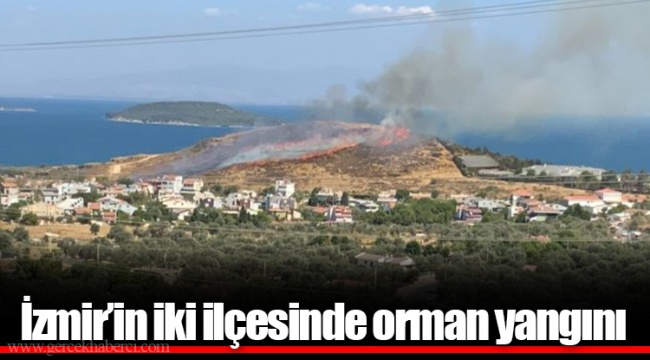 İzmir’in iki ilçesinde orman yangını