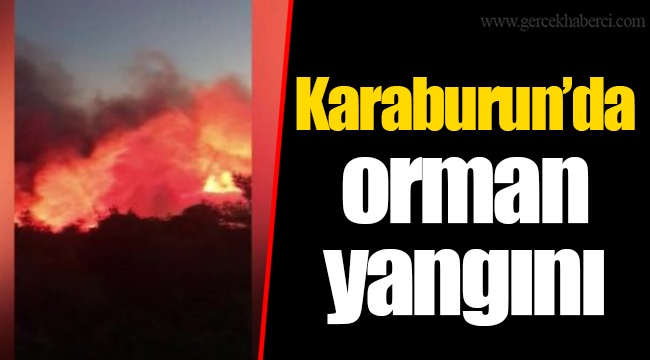 Karaburun’da orman yangını