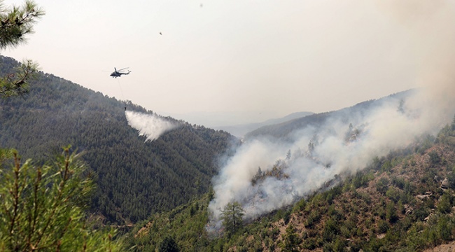 Muğla'daki yangınların bilançosu: 60 bin hektar zarar gördü