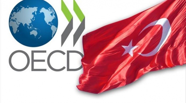 OECD, Türkiye için hem enflasyon hem de büyüme tahminini yükseltti