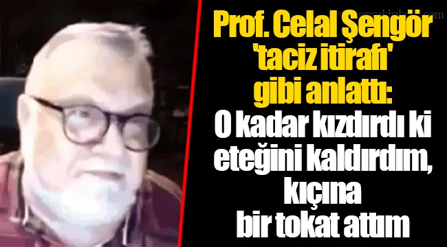 Prof. Celal Şengör 'taciz itirafı' gibi anlattı: O kadar kızdırdı ki eteğini kaldırdım, kıçına bir tokat attım