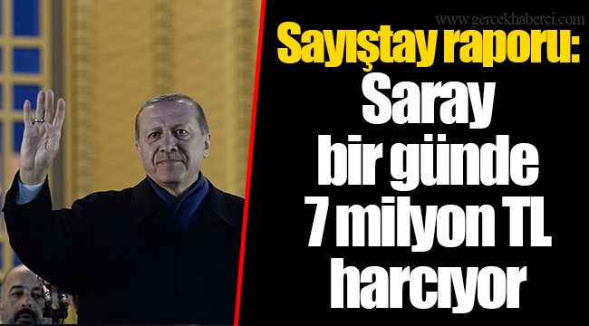 Sayıştay raporu: Saray bir günde 7 milyon TL harcıyor