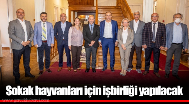 Sokak hayvanları için işbirliği yapılacak