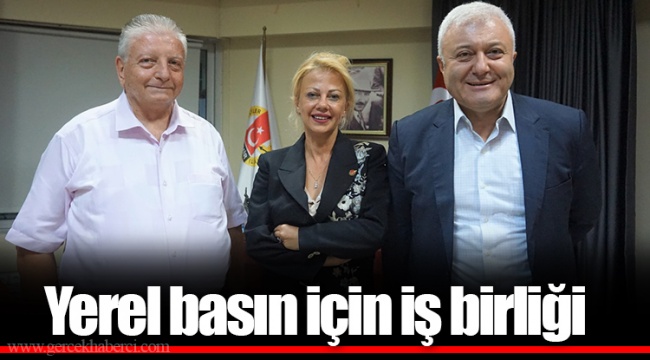 Yerel basın için iş birliği