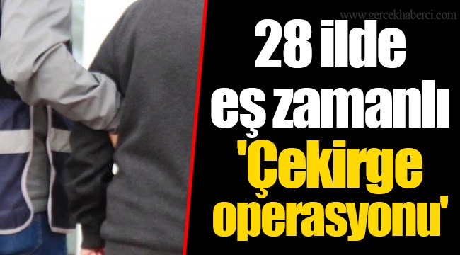 28 ilde eş zamanlı 'Çekirge operasyonu'