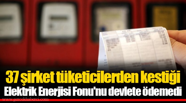 37 şirket tüketicilerden kestiği Elektrik Enerjisi Fonu'nu devlete ödemedi