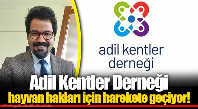 Adil Kentler Derneği hayvan hakları için harekete geçiyor!