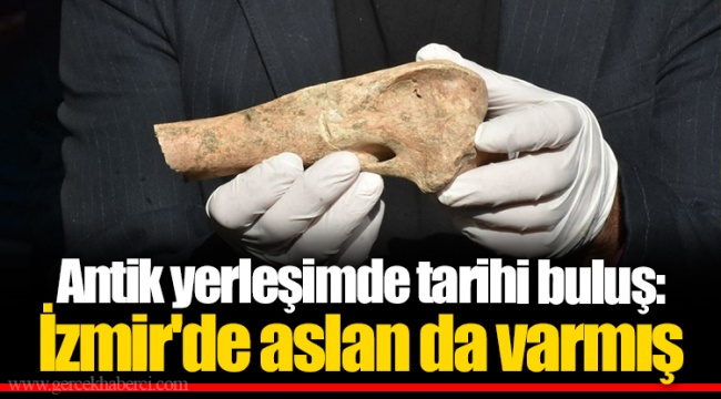 Antik yerleşimde tarihi buluş: İzmir'de aslan da varmış