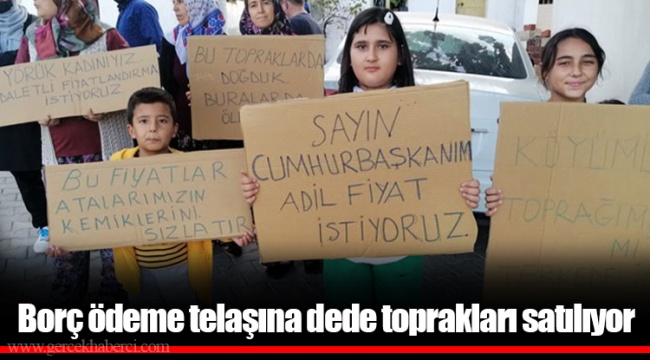 Borç ödeme telaşına dede toprakları satılıyor