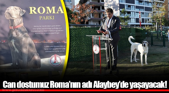 Can dostumuz Roma’nın adı Alaybey’de yaşayacak!