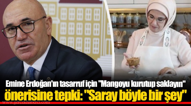Emine Erdoğan'ın tasarruf için "Mangoyu kurutup saklayın" önerisine tepki: "Saray böyle bir şey"
