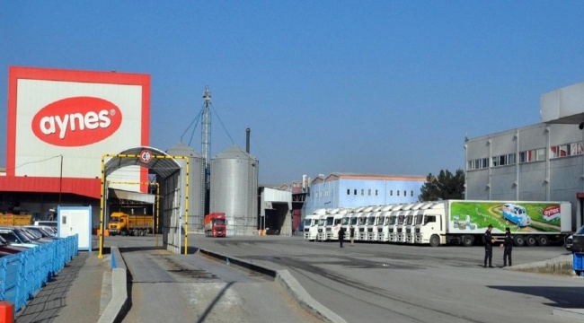 FETÖ soruşturması kapsamında kayyum atanmıştı... 2015'te 203 milyon euro değer biçilen Aynes, TMSF tarafından 65 milyon euroya satışa çıkarıldı
