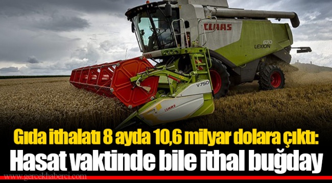 Gıda ithalatı 8 ayda 10,6 milyar dolara çıktı: Hasat vaktinde bile ithal buğday