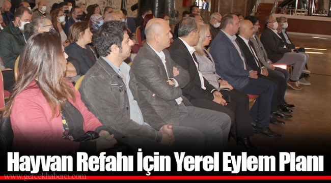 Hayvan Refahı İçin Yerel Eylem Planı