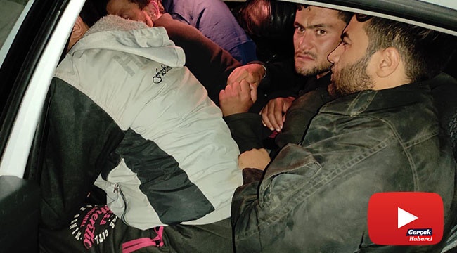 İki araçtan 29 göçmen çıktı!