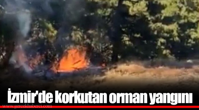İzmir'de korkutan orman yangını